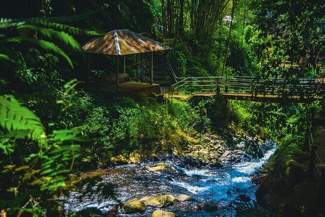 Bedugul and Singaraja Tour - Gigit Waterfall: the rainforest walk that ties the day together
