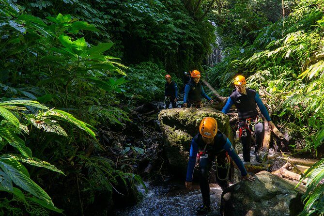 Beginner Canyoning trip in bali "Banyuwana canyon" - Banyuwana canyon: what makes this track a great first step