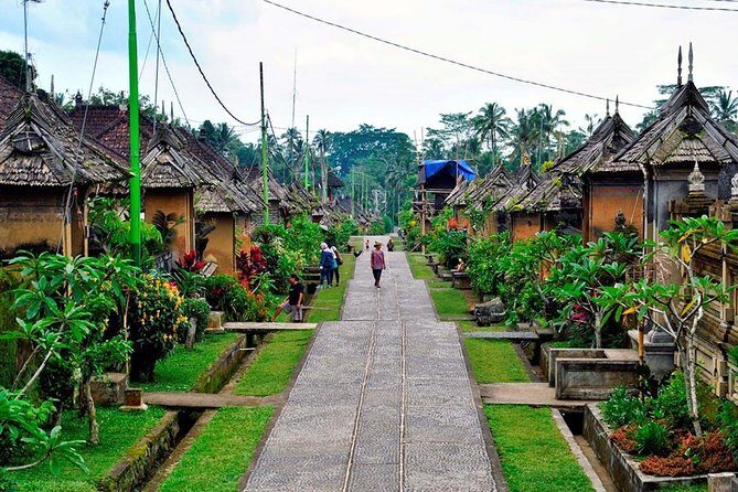 Besakih Temple Tour - Traditional Bali Village - All Inclusive - Price and value: why $79 can work if you use it right