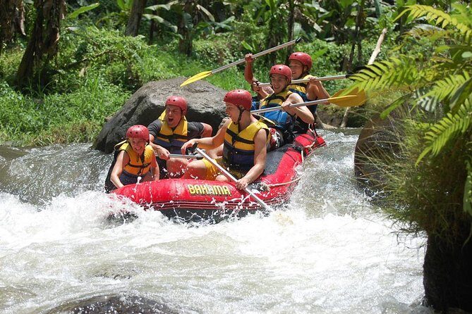 Best Bali Ayung River Rafting with Lunch - Before you start: rice fields to tropical forest (and why it matters)