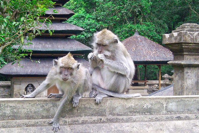 Best Bali Package Tour: 4 Days with Airport or Hotel Transfer - How the transfers keep your days from unraveling