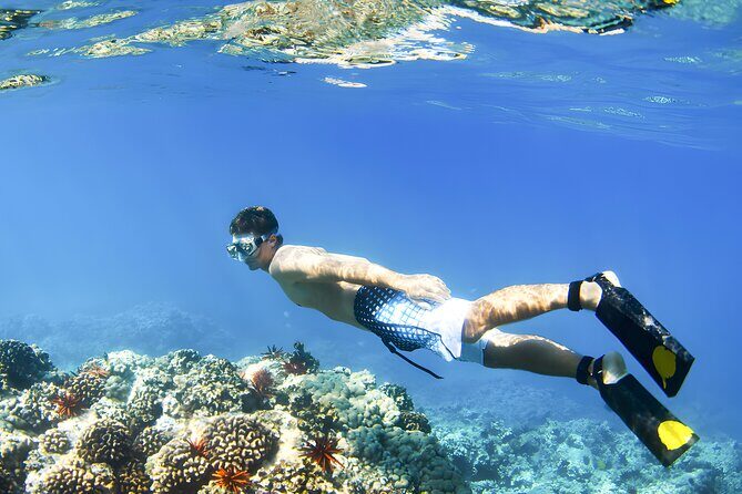Best Bali Snorkeling at Blue Lagoon Beach: All-Inclusive - Between Spots: Boat Transfers and What to Expect