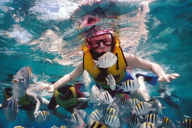 Best Bali Snorkeling at Blue Lagoon Beach: All-Inclusive - Professional Instruction and Why It Matters