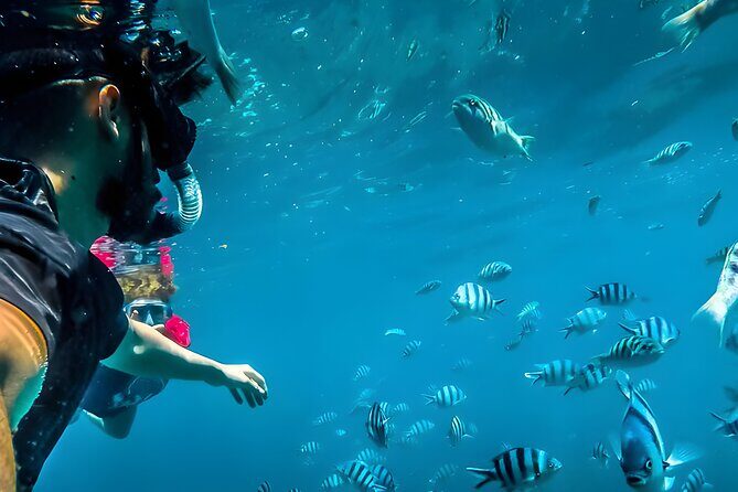 Best Bali Snorkeling at Blue Lagoon Beach: All-Inclusive - What’s Included (and the Real Value Behind It)