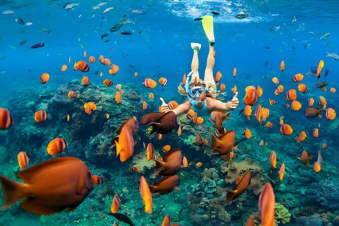 Best Bali Snorkeling at Blue Lagoon Beach: All-Inclusive - Lunch, Showers, and the Comfort Factor You’ll Thank Yourself For