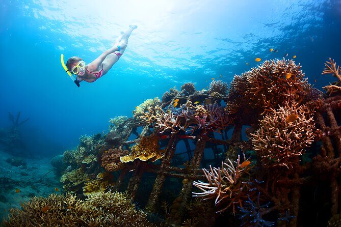 Best Bali Snorkeling at Blue Lagoon Beach: All-Inclusive - The Private Pickup From Seminyak (and Beyond)