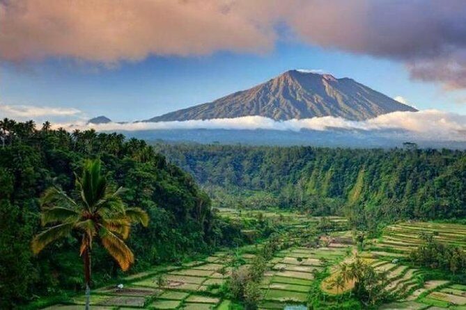 Best bali transport service - custom your own itinerary - Key points before you book
