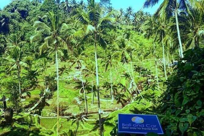 Best bali transport service - custom your own itinerary - Choosing your stops across Bali: Kuta, Seminyak, Ubud, and more