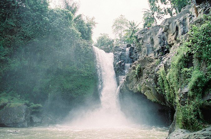 Best Day Tour - #1 Ubud Top Attraction - Sacred Monkey Forest Sanctuary: Temples Plus 1,200 Monkeys