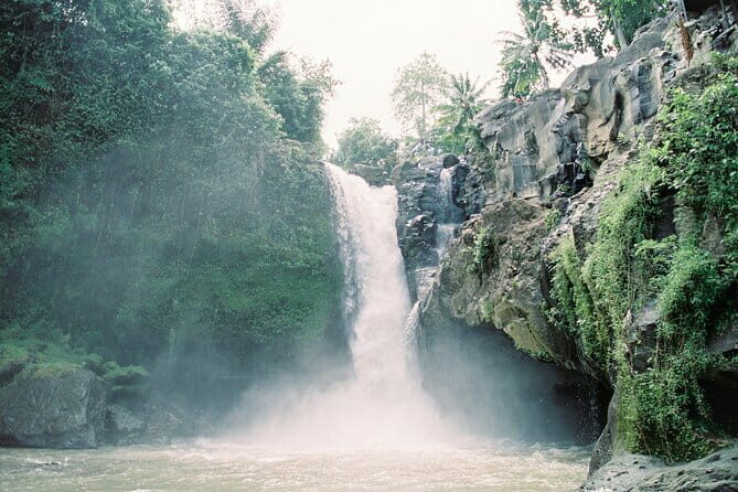 Best Day Tour - #3 World Cleanest Traditional Village - A smooth, private Ubud day that stays human