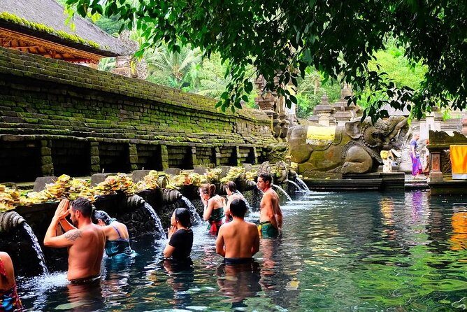Best of Bali Jungle Swing with Ubud Sightseeing Tour - Coffee plantation stop: the culture break inside the ride