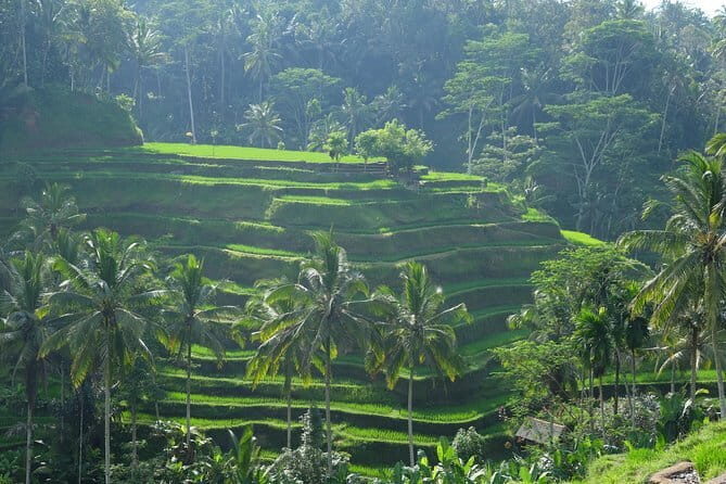 Best of Bali Private Shore Excursions - Gunung Kawi Sebatu spring holy water and purification rituals