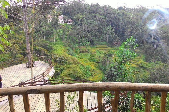 Best of Bali : Ubud, Rice terrace, Tanah lot temple with Lunch - How the full-day route works (and where the hours go)