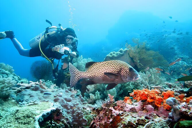 Best of Bali Water Sport Jumbo Packages - Timing, beach conditions, and the subtle annoyances to watch for