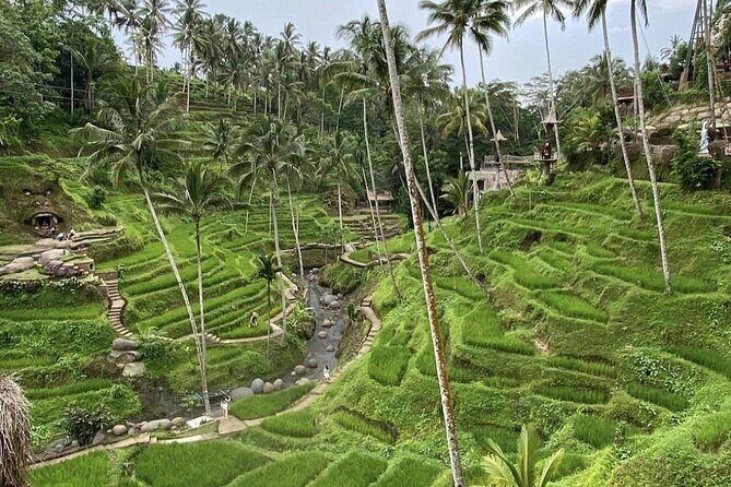 Best of Instagram Tour: Gate of Heaven, Tirta Gangga, Bali Swing - Lunch and the small comforts that make a long day easier
