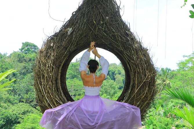 Best of Instagram Tour: Gate of Heaven, Tirta Gangga, Bali Swing - Price and value: where the $100 per person actually goes