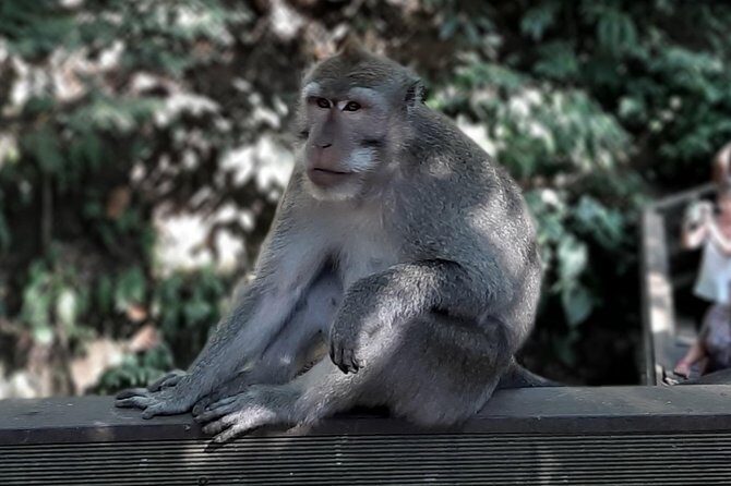 Best of Ubud - All Inclusive - What This All-Inclusive Ubud Day Gets Right