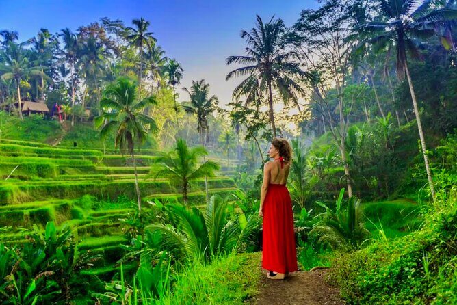 Best of Ubud: All-Inclusive Private Tour with Local Guide - Happy Swing Bali: fun photos with jungle views (and a little courage)