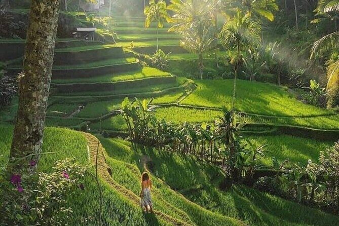 Best of Ubud: All-Inclusive Private Tour with Local Guide - Pangkon Bali Resto & Agrotourism: your lunch stop, your choice