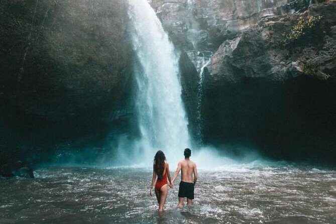 Best Of Ubud And Tanah Lot Temple Private Guide Tour - A fast-hit Bali highlights day from Seminyak