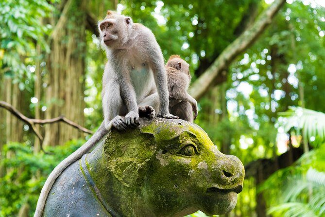 Best of Ubud Attractions: Private All-Inclusive Tour - Lunch at D Alas Warung: A Jungle Setting Break