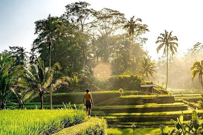 Best of Ubud - Full day Tour + FREE WI-FI - Key highlights