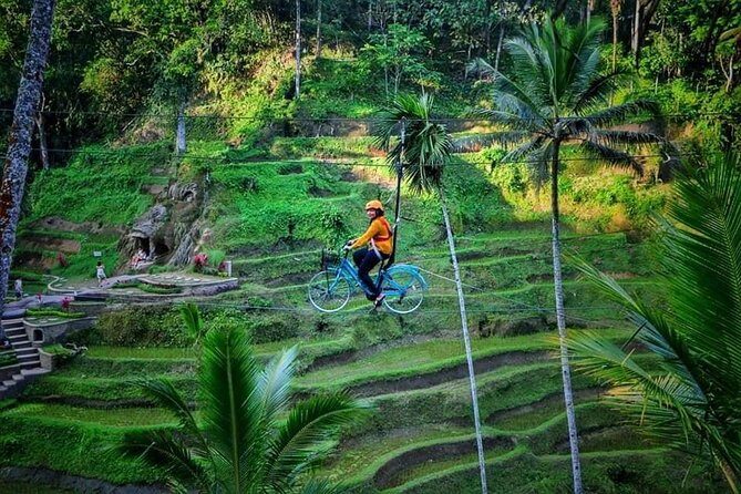 Best of Ubud - Full day Tour + FREE WI-FI - Sahadewa Barong Dance & Fire Dance: myth in live performance