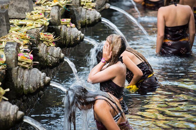 Best of Ubud Full-Day Tour with Jungle Swing - D Alas Warung Lunch Break: Food in a Natural Setting