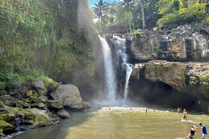 Best Of Ubud Half Day Private Guided Tour - Tirta Empul Temple and the Holy Water Cleansing Ritual