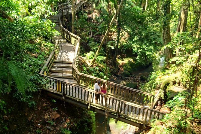 Best of Ubud - Kintamani Volcano View - Private Tour - Stop 1: Ubud Monkey Forest Sanctuary (10 hectares of macaque life)
