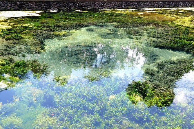 Best of Ubud - Kintamani Volcano View - Private Tour - Stop 2: Tegalalang Rice Terrace for classic terrace views