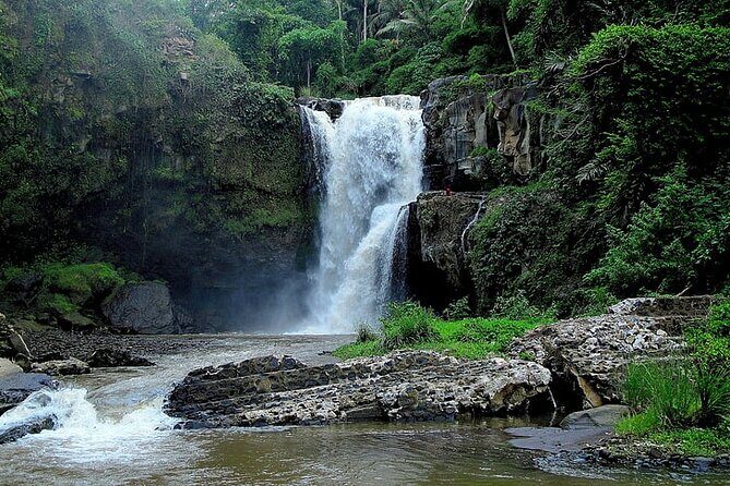 Best Of Ubud Private Day Tour With Local Guide - Stop 4: Tegenungan Waterfall for a Classic Bali Nature Break
