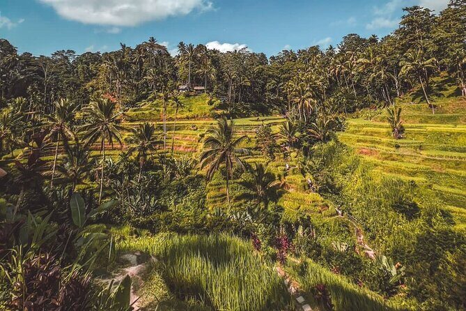 Best Of Ubud Private Day Tour With Local Guide - Stop 5: Celuk Village for Gold and Silver Craft Shopping
