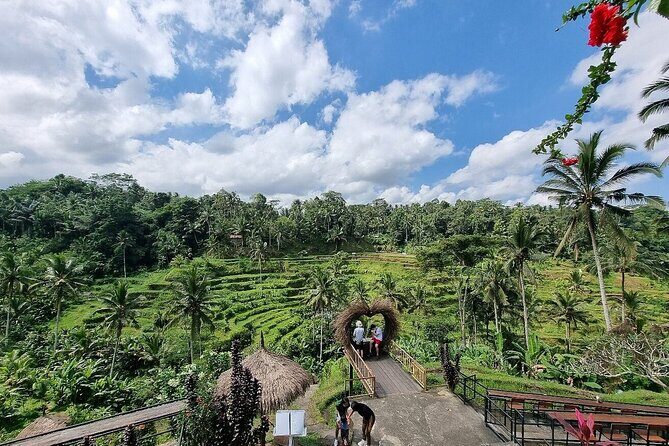 Best of Ubud Private Tour with Jungle Swing Experience - Price and what you’re really paying for ($33)