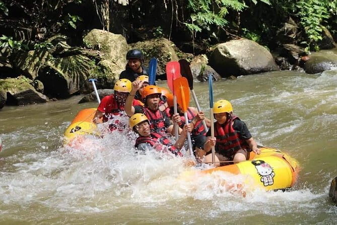 Best Of Ubud Rafting And Swing All Inclusive - Happy Swing Bali: The Photo Stop With Safety in Mind