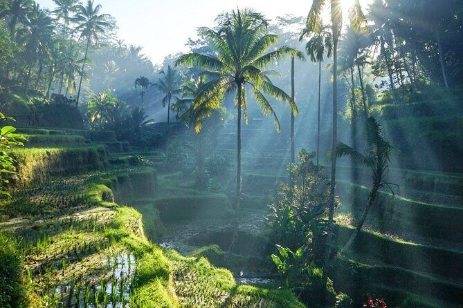 Best of Ubud: Rice Terrace, Temple and Waterfall Private Tour - Key things that make this tour worth your attention