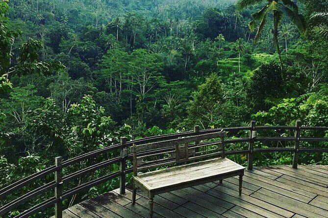Best of Ubud: Rice Terrace, Temple and Waterfall Private Tour - Tirta Empul, Mas wood carving, and Celuk jewelry: hands-on Balinese crafts
