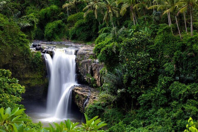 Best of Ubud: Rice Terrace, Temple and Waterfall Private Tour - Batuan Temple and Gunung Kawi: older sites with serious carvings