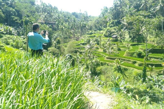 Best Of Ubud Scenic Full Day Private Guided Tour - What makes this itinerary work