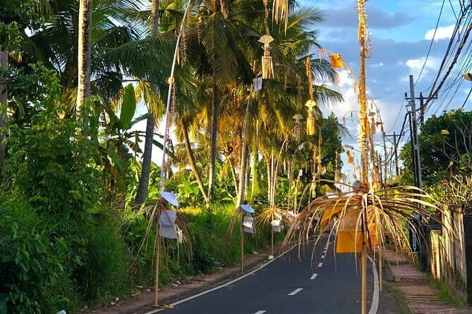 Best Of Ubud Scenic Full Day Private Guided Tour - A 10-hour sampler of Ubud and north Bali highlights