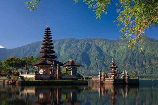 Best Of Ubud Scenic Full Day Private Guided Tour - Tampaksiring tea and coffee gardens: a reset before Tirta Empul