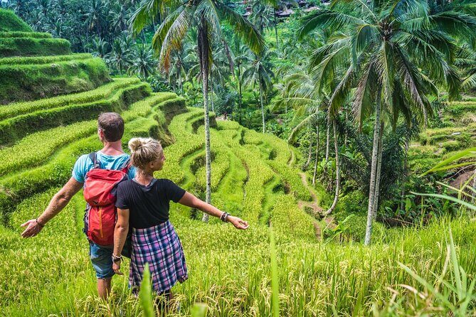 Best of Ubud Sightseeing Private All Inclusive Tour - Celuk, Ubud art galleries, Batik, and Mas wood carving
