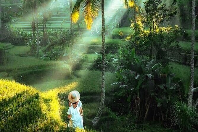 Best of Ubud Tour: Monkey Forest, Rice Terraces & Waterfall - Tirta Empul Temple: holy spring water and the optional Melukat ritual