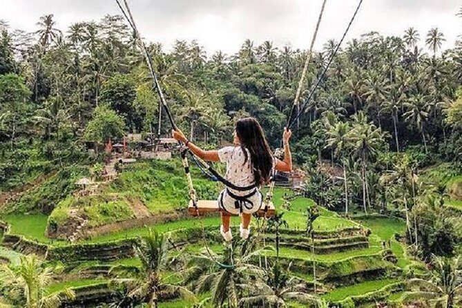 Best of Ubud Tour with Jungle Swing Private and All Inclusive - Stop 3: Tegalalang Rice Terrace for Views That Actually Earn Their Time