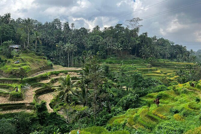 Best of Ubud - Ubud Tour Popular - All Inclusive - Tegenungan Waterfall: a classic stop with one big decision