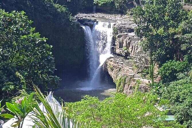 Best of Ubud - Ubud Tour Popular - All Inclusive - Price and value: $52 for a full, ticketed day