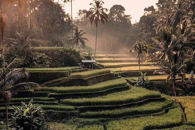 Best of Ubud Waterfalls, Tegalalang Rice Terrace and Swing Tour - Tegalalang Rice Terrace Swing: Traditional irrigation views and big camera energy