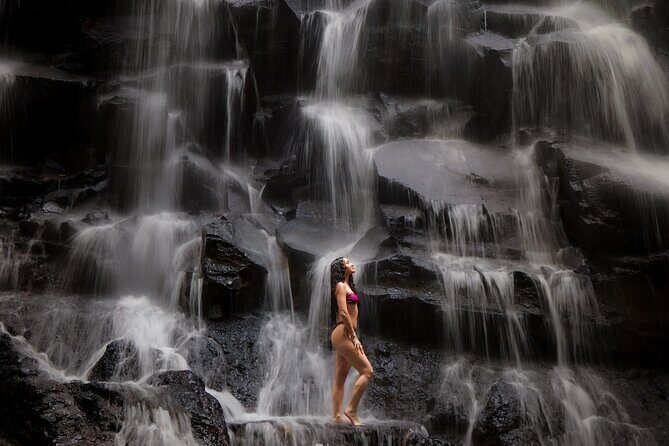 Best of Ubud Waterfalls, Tegalalang Rice Terrace & Jungle Swing - Key highlights to know before you go
