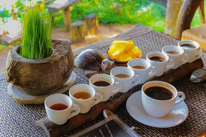Best of Ubud: Waterfalls, Temple & Rice Terraces Private Day Tour - Price and what you actually get for about $31