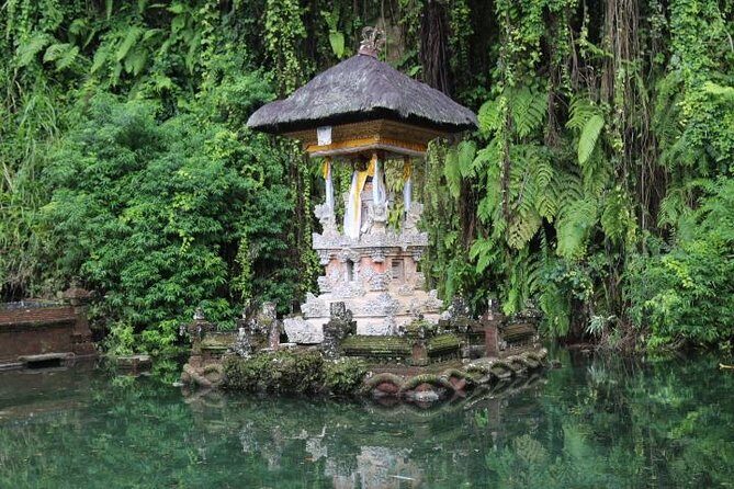 Best of Ubud with Jungle Swing Experience - The rice terraces at Tegalalang and the irrigation system lesson